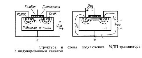 Описание: polevik3.jpg