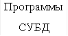 Программы СУБД 