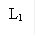 L1