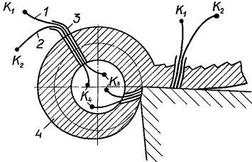 Описание: рис 49 1-66 мыш 42