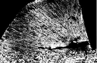 Описание: 1-31