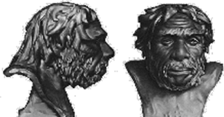 Описание: neand1