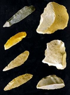 Описание: musilic