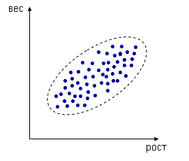Описание: положительная корреляция роста и веса