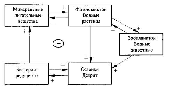 Описание: Безымянный
