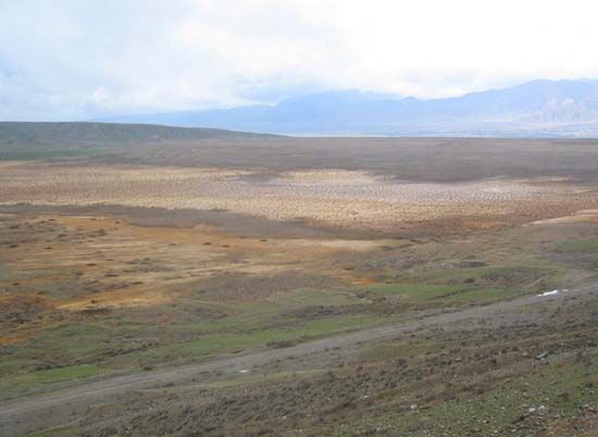 Описание: utailing