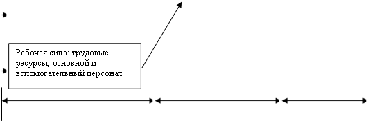 Рабочая сила: трудовые ресурсы, основной и вспомогательный персонал