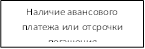 Наличие авансового платежа или отсрочки погашения