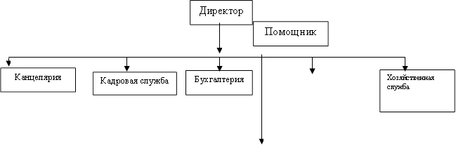 Директор,Помощник,Канцелярия,Кадровая служба,Бухгалтерия,Хозяйственная служба