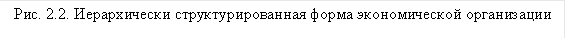 Рис. 2.2. Иерархически структурированная форма экономической организации 