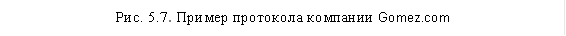 Рис. 5.7. Пример протокола компании Gomez.com 