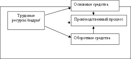 Трудовые ресурсы /кадры/,Основные средства,Производственный процесс,Оборотные средства