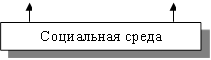 Социальная среда