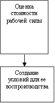 Оценка стоимости рабочей силы ,Создание условий для ее воспроизводства