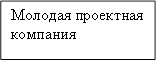 Молодая проектная компания