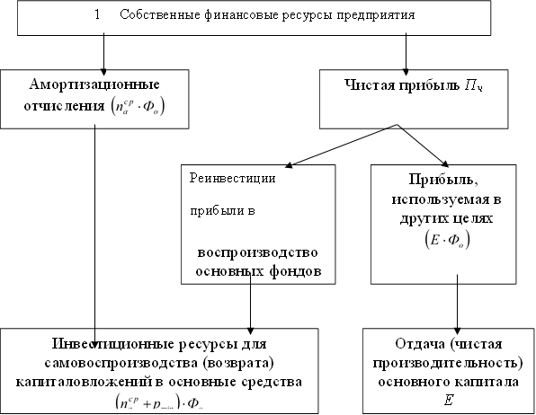 1Собственные финансовые ресурсы предприятия,Амортизационные отчисления ,Чистая прибыль Пч,Реинвестиции прибыли в воспроизводство основных фондов ,Прибыль, используемая в других целях ,Инвестиционные ресурсы для самовоспроизводства (возврата) капиталовложений в основные средства ,Отдача (чистая производительность) основного капитала Е 