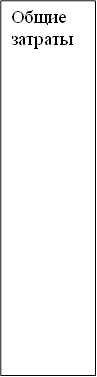 Общие затраты