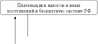 Плательщики налогов и иных поступлений в бюджетную систему РФ