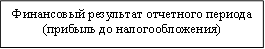 Финансовый результат отчетного периода (прибыль до налогообложения)