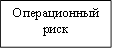 Операционный риск