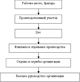 Рабочее место, бригада,Производственный участок,Филиалы и отдельные производства,Цех,Высшее руководство организации,Отделы и службы организации