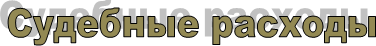 Судебные расходы