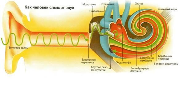 Описание: img111