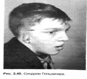 Описание: image0023