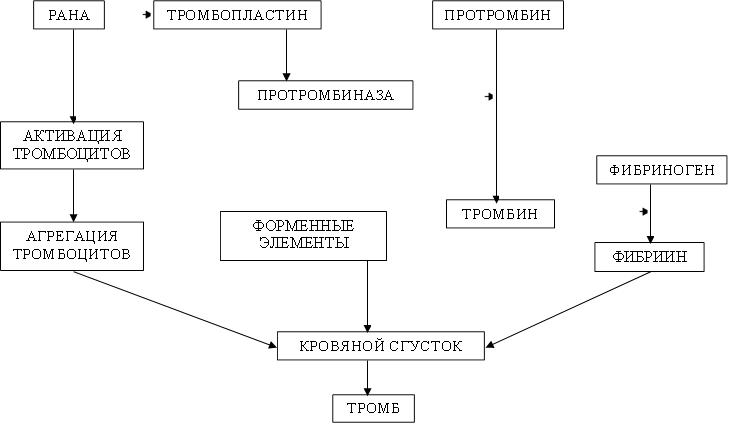РАНА,АКТИВАЦИЯ ТРОМБОЦИТОВ,АГРЕГАЦИЯ ТРОМБОЦИТОВ,ФОРМЕННЫЕ ЭЛЕМЕНТЫ КРОВИ,ТРОМБОПЛАСТИНН,ПРОТРОМБИНАЗА,ПРОТРОМБИН,ТРОМБИН,ФИБРИНОГЕН,ФИБРИИН,КРОВЯНОЙ СГУСТОК,ТРОМБ