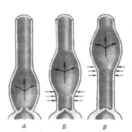 Описание: +Механизм распространения пульсовой волны
