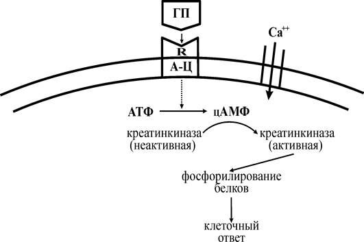 Описание: Схема 1