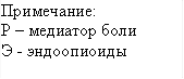 Примечание: Р – медиатор боли Э - эндоопиоиды 
