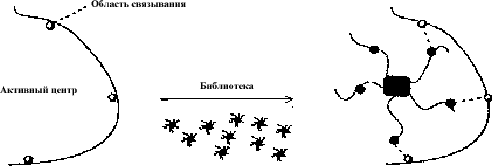 Описание: 40