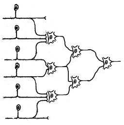 +конвергенция