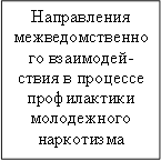 Направления межведомственного взаимодей-ствия в процессе профилактики молодежного наркотизма