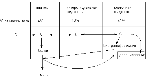 Описание: http://www.medline.ru/public/monografy/toxicology/p4-toxicokinetics/img/t-p72.gif