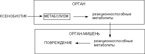 Описание: http://www.medline.ru/public/monografy/toxicology/p4-toxicokinetics/img/t-p136.gif