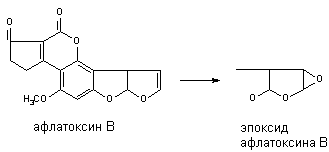 Описание: http://www.medline.ru/public/monografy/toxicology/p4-toxicokinetics/img/t-p108.gif