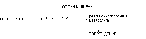 Описание: http://www.medline.ru/public/monografy/toxicology/p4-toxicokinetics/img/t-p134.gif