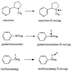 Описание: http://www.medline.ru/public/monografy/toxicology/p4-toxicokinetics/img/t-p116.gif