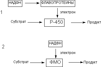 Описание: http://www.medline.ru/public/monografy/toxicology/p4-toxicokinetics/img/t-p84.gif