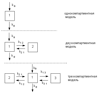 Описание: http://www.medline.ru/public/monografy/toxicology/p4-toxicokinetics/img/t-p142.gif