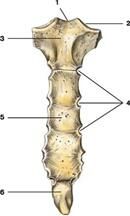 Описание: image036