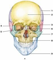 Описание: image144