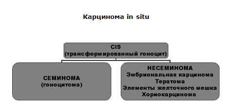 Описание: Простатит. Заболевания половых органов