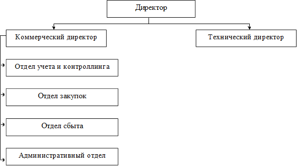 Директор,Коммерческий директор,Технический директор,Отдел учета и контроллинга,Отдел закупок,Отдел сбыта,Административный отдел
