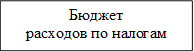 Бюджет расходов по налогам 