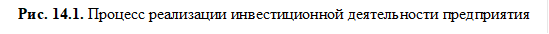 Рис. 14.1. Процесс реализации инвестиционной деятельности предприятия