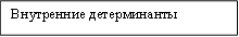 Внутренние детерминанты