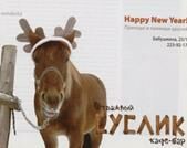 Описание: Изображение 042